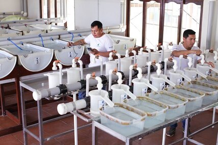 lab